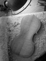 ébauchage des épaisseurs du fond à la gouge - Thomas Billoux Luthier